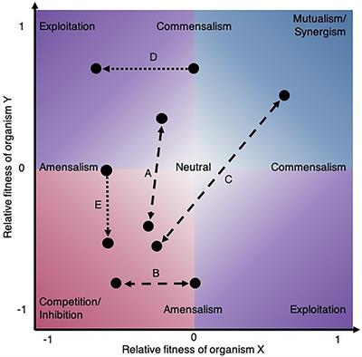 Leveraging Experimental Strategies to Capture Different Dimensions of Microbial Interactions